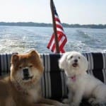 Yacht cushions